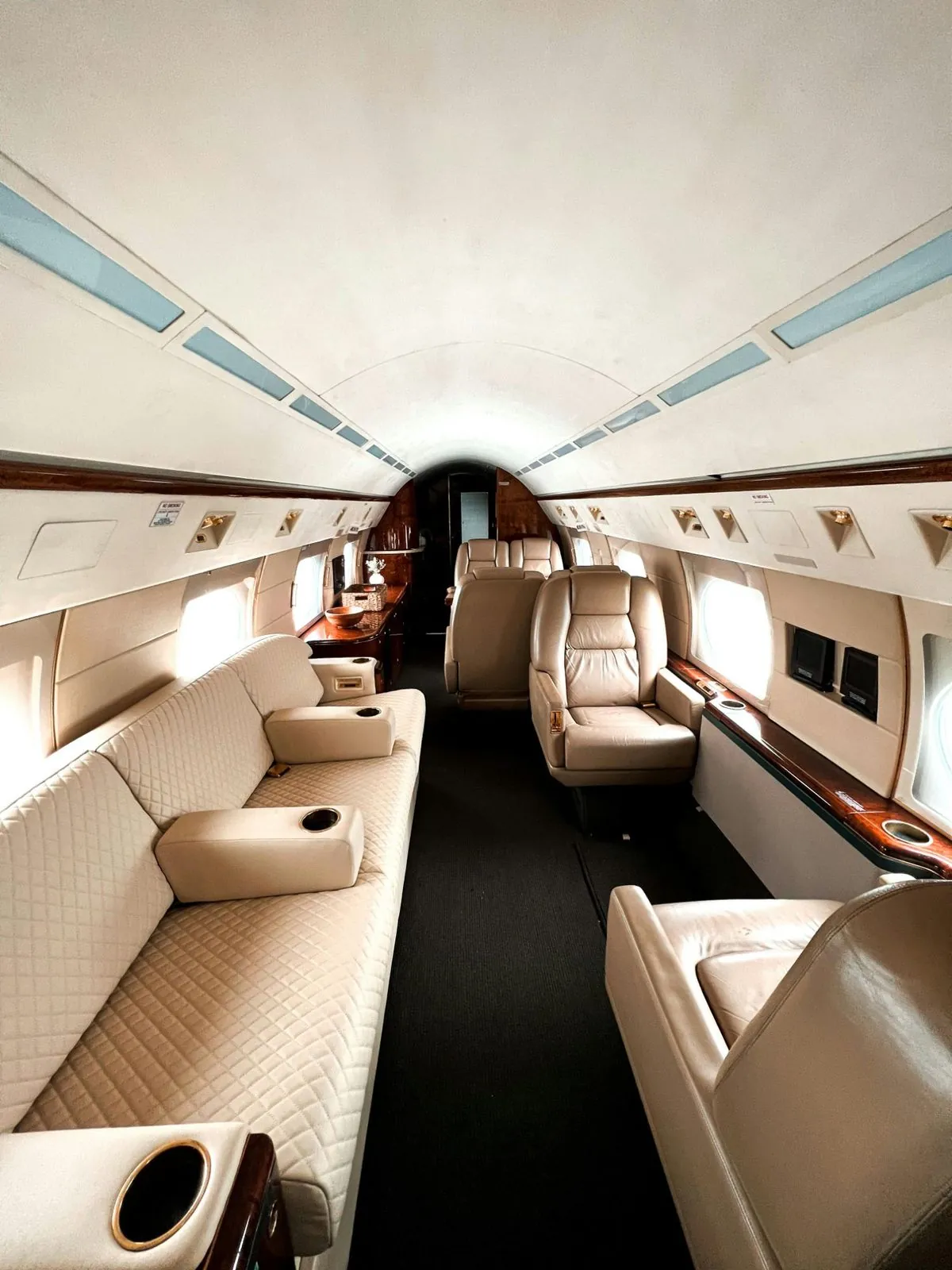 Private jet cabin — leather seating and windows